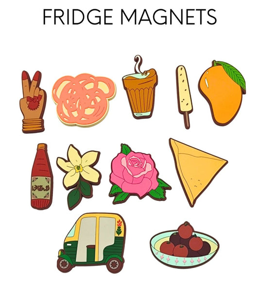 South Asian Magnets Set Of 11