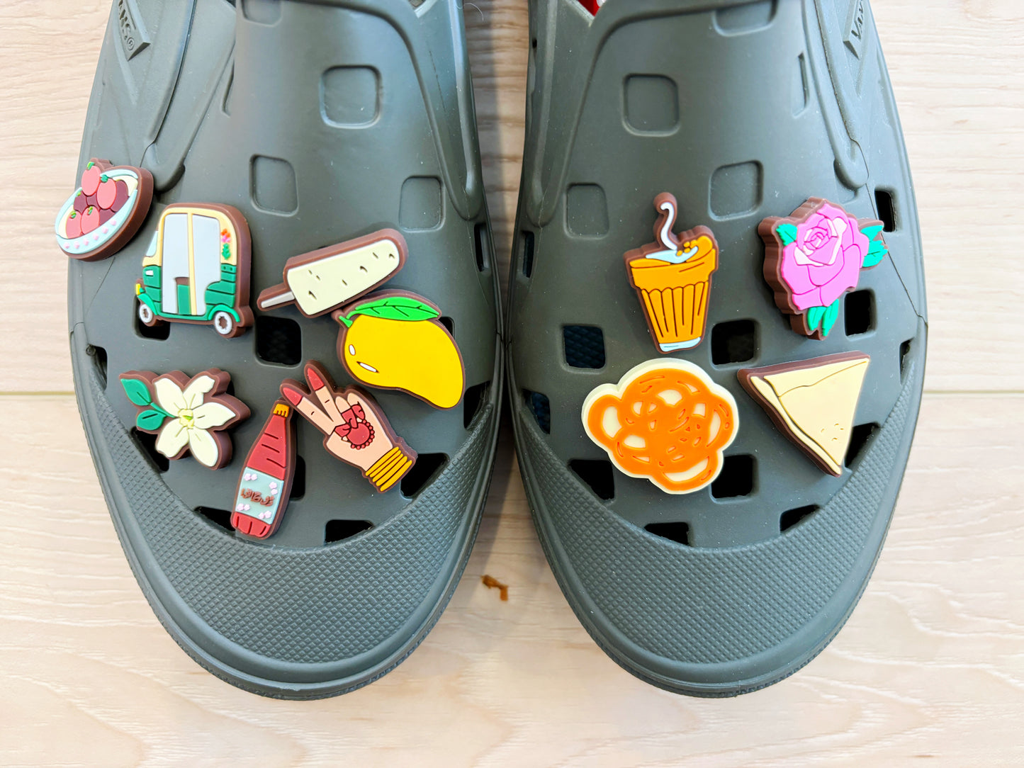 South Asian Croc Charms Set Of 11