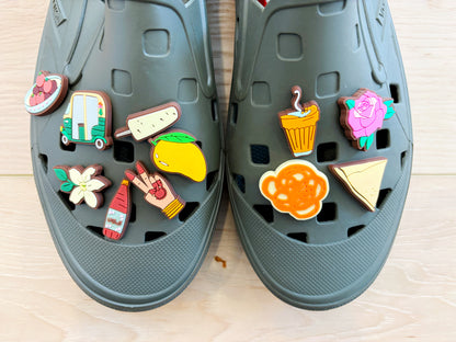 South Asian Croc Charms Set Of 11